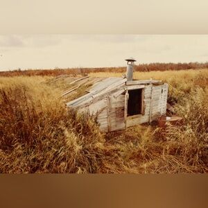 4x6 Old Alaska Dog Barn 1972 Historic Photo Print #1